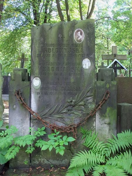 Zdjęcie grobu Wojciech Witold Leszczyc Radoliński (2)