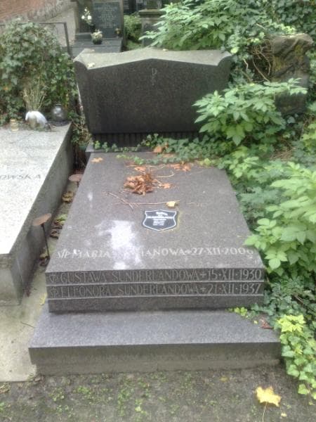 Zdjęcie grobu: Maria Lesmanowa