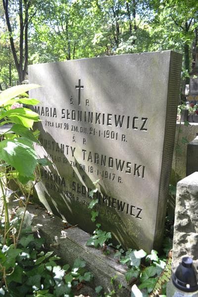 Zdjęcie grobu Konstanty Tarnowski (2)