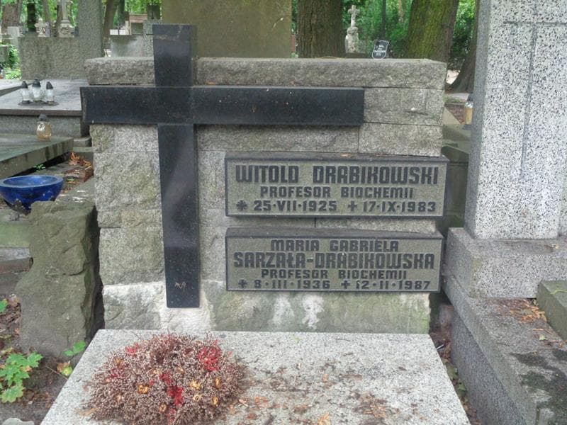 Zdjęcie grobu Witold Drabikowski (2)