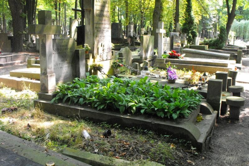 Zdjęcie grobu Julia Szepietowska (1)