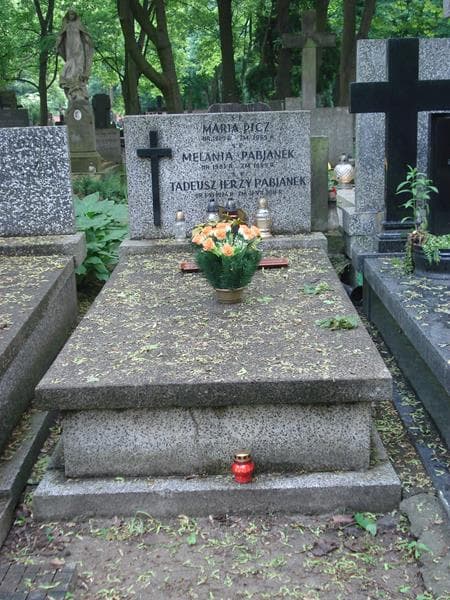 Zdjęcie grobu: Maria Picz