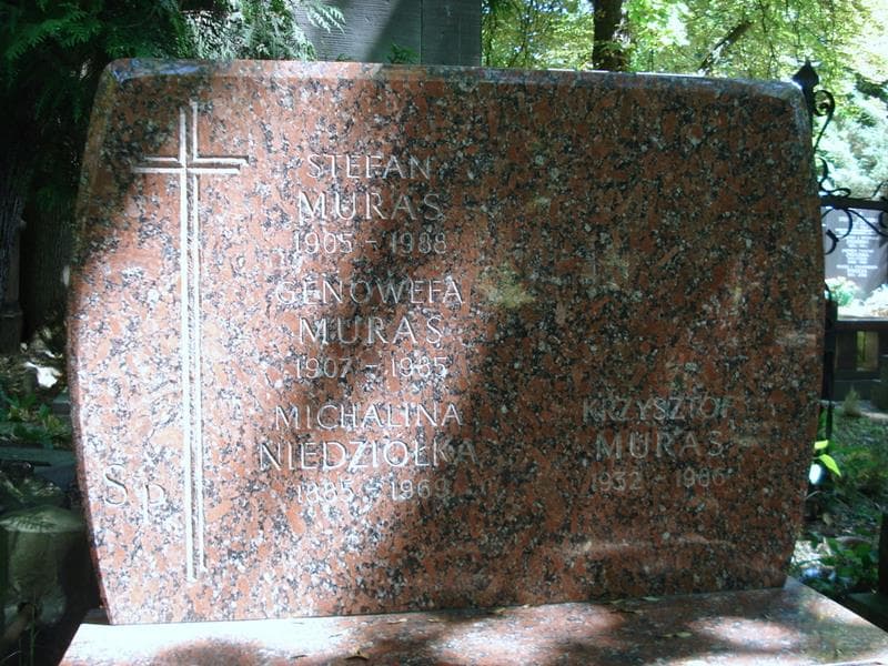 Zdjęcie grobu Michalina Niedziółka (2)