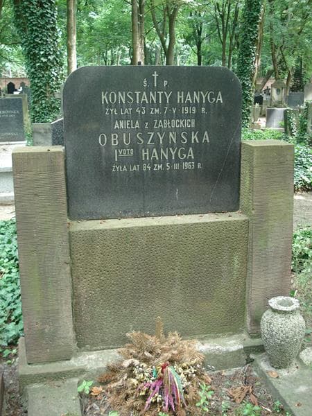 Zdjęcie grobu Konstanty Hanyga (1)