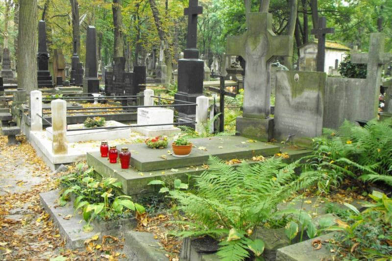 Zdjęcie grobu Janina Gąszczyńska (1)
