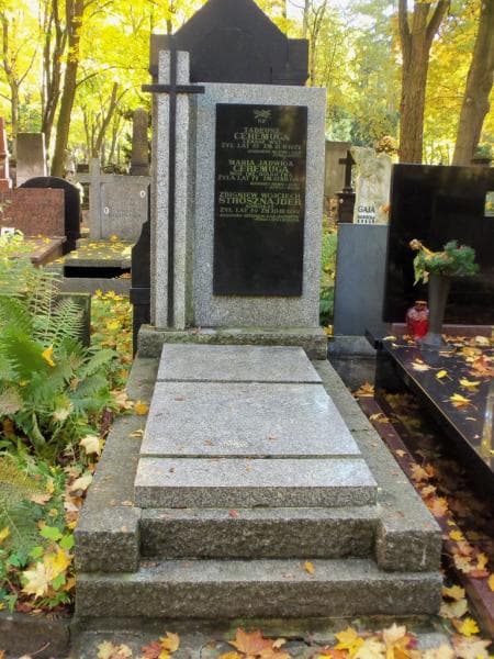 Zdjęcie grobu: Tadeusz Ceremuga