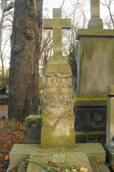 Zdjęcie grobu Mieczysław Waga (2)