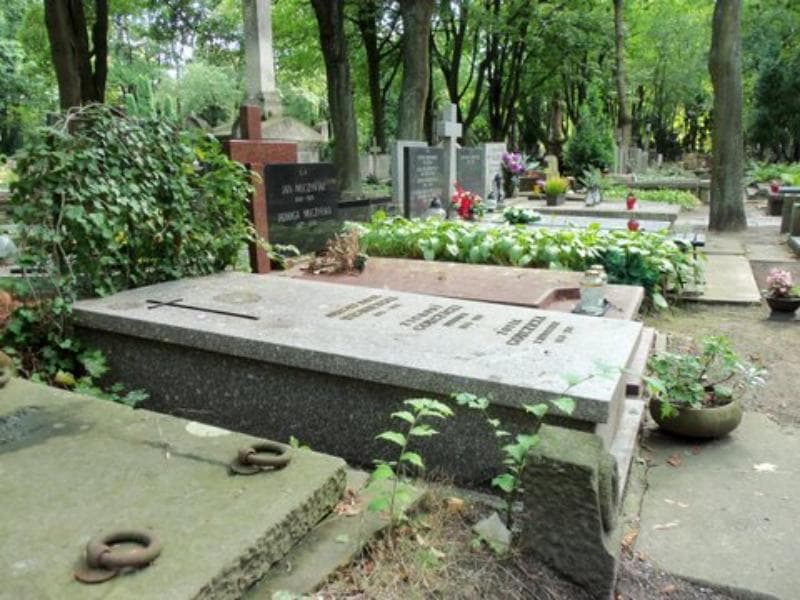 Zdjęcie grobu Zygmunt Gorczycki (1)