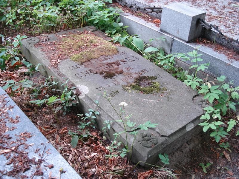 Zdjęcie grobu Cecylja Chłedowska (2)