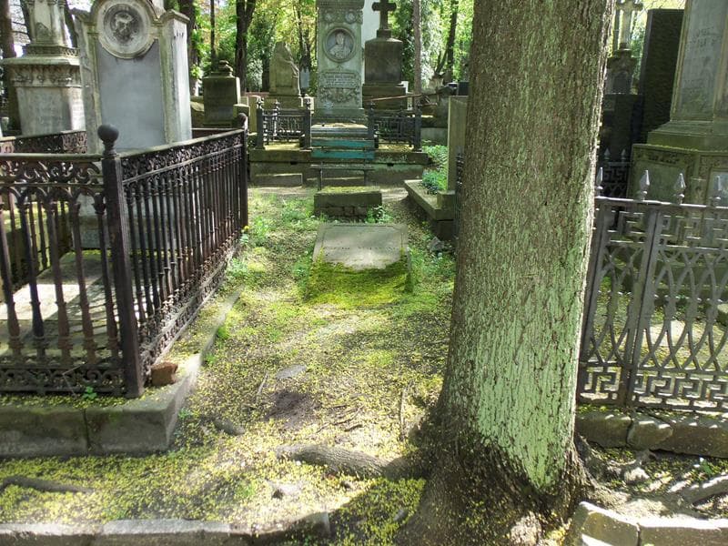 Zdjęcie grobu: Jerzy Maennling