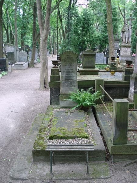 Zdjęcie grobu Stanisław Nowakowski (1)