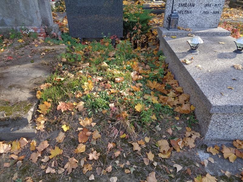 Zdjęcie grobu: Pole Grobowe