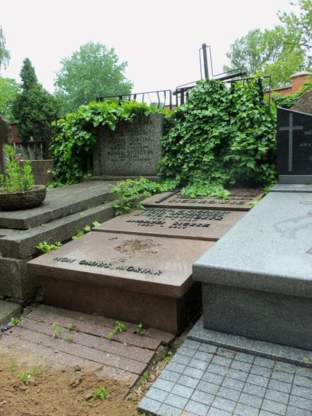 Zdjęcie grobu Andrzej Siczek (2)