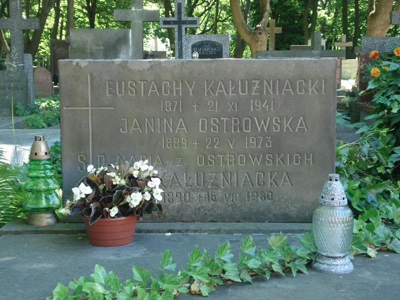 Zdjęcie grobu Janina Ostrowska (1)
