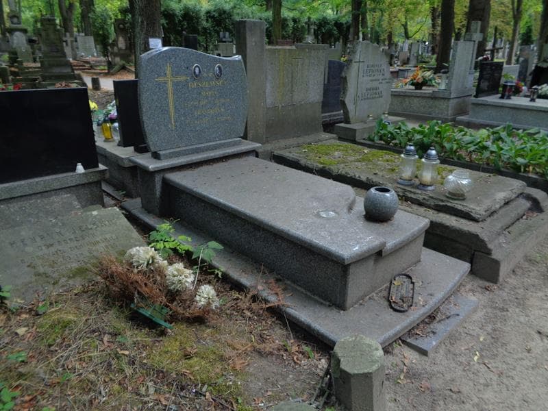 Zdjęcie grobu: Franciszek Olszewski