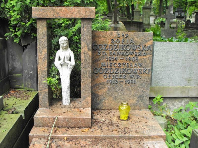 Zdjęcie grobu Zofia Goździkowska (2)