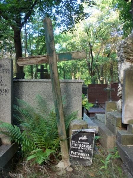 Zdjęcie grobu Maria Piotrowska (1)
