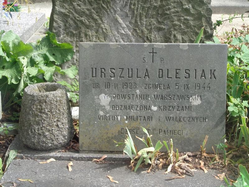 Zdjęcie grobu Urszula Olesiak (2)