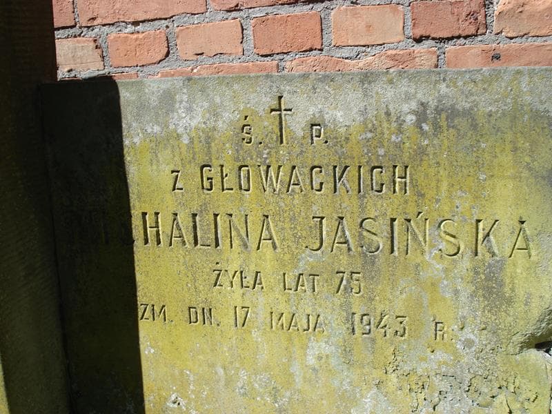 Zdjęcie grobu Michalina Jasińska (2)