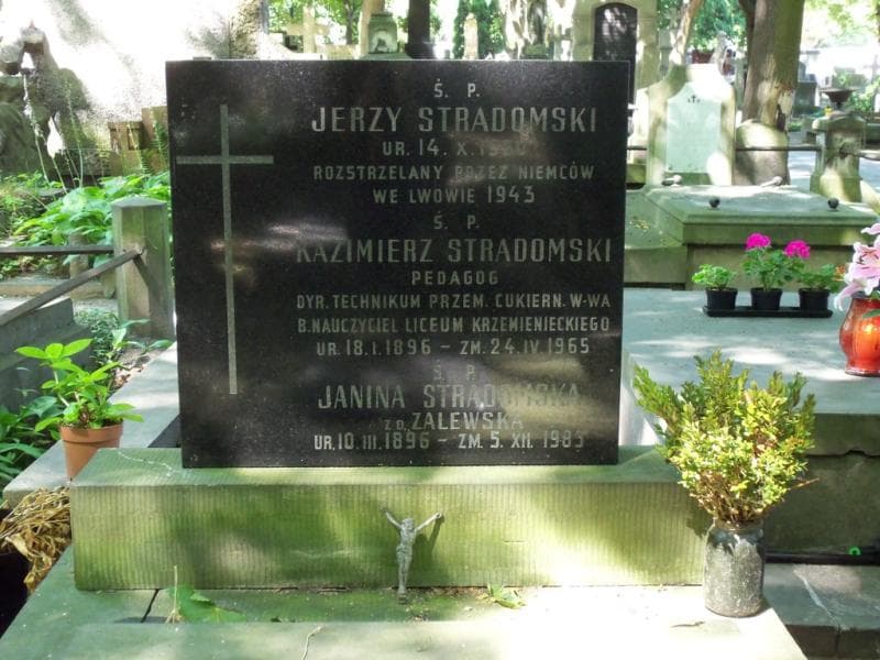 Zdjęcie grobu Janina Stradomska (2)