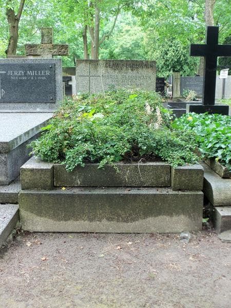 Zdjęcie grobu: Maria Słodownik