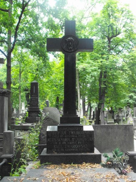 Zdjęcie grobu Emil Twarowski (2)