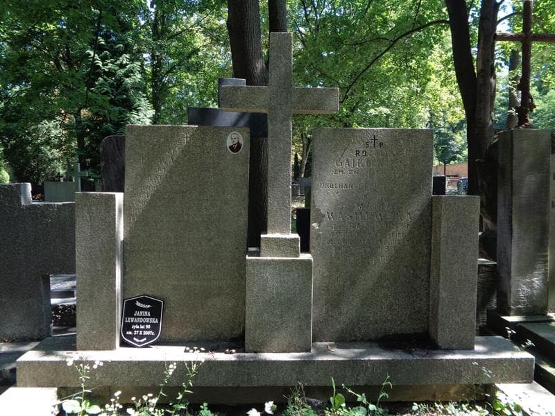Zdjęcie grobu Janina Lewandowska (2)