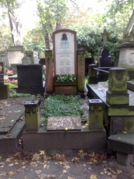 Zdjęcie grobu: Julja Drewnikowska