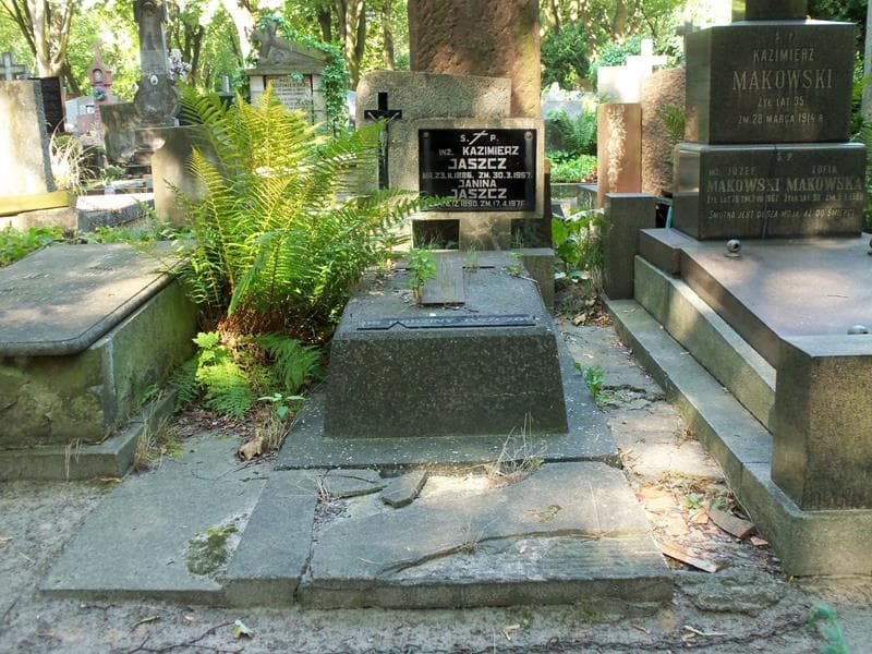 Zdjęcie grobu: Janina Jaszcz