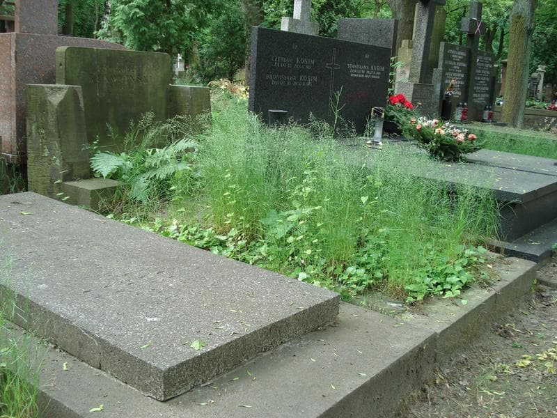 Zdjęcie grobu Michał Bukowiński (1)
