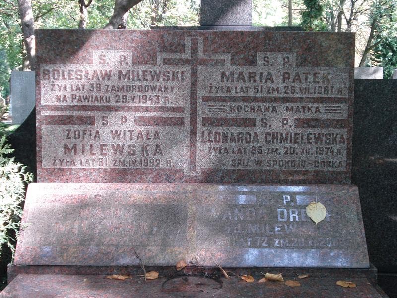 Zdjęcie grobu Wanda Dreger (2)