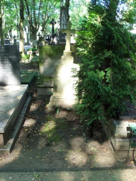 Zdjęcie grobu: Stanisław Dębno-Krzyżanowski