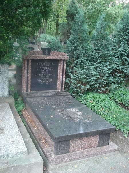 Zdjęcie grobu Maria Grześkiewicz (1)