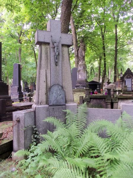 Zdjęcie grobu Drozdowscy (2)