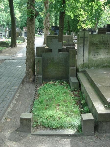 Zdjęcie grobu: Władysław Topczewski