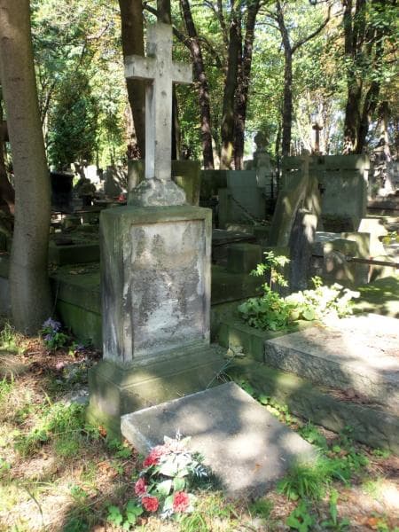 Zdjęcie grobu Wacław Hanicki (2)