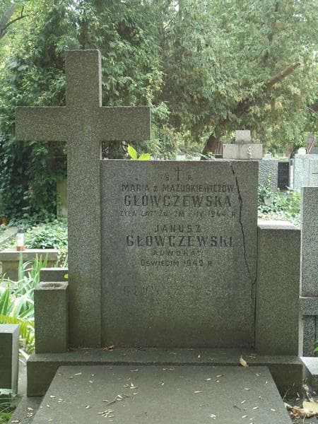 Zdjęcie grobu Maria Główczewska (2)