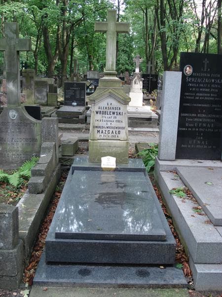 Zdjęcie grobu Aleksander Wróblewski (1)