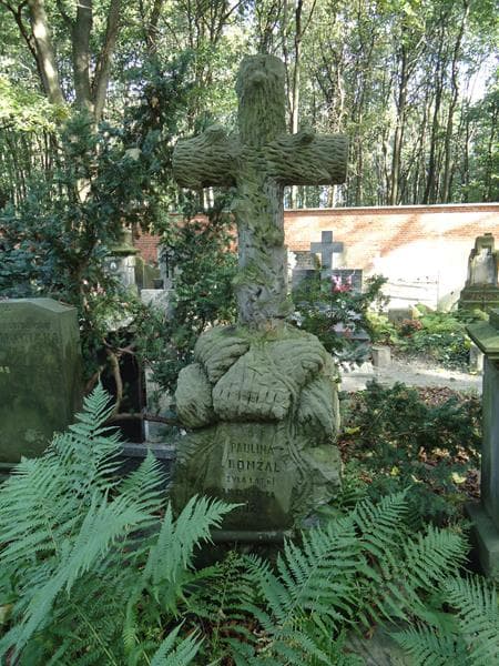 Zdjęcie grobu Feliks Jaskólski (2)