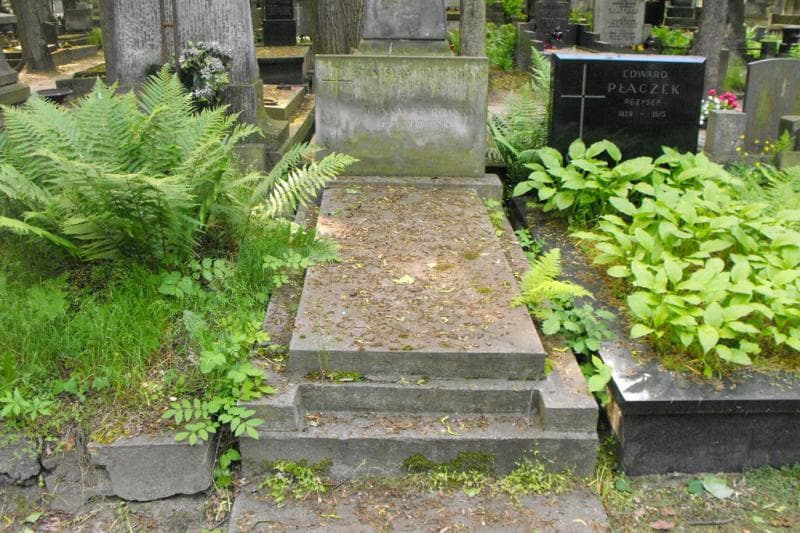 Zdjęcie grobu Joanna Piotrowska (1)