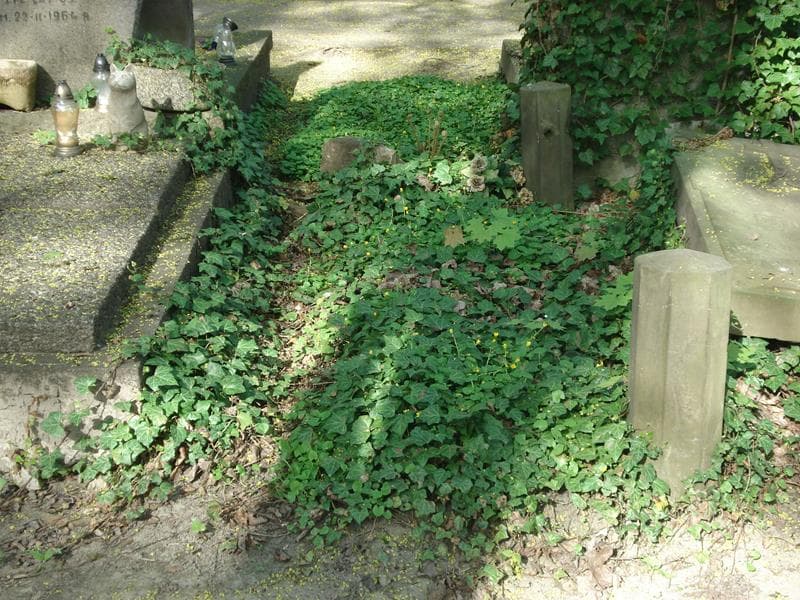 Zdjęcie grobu: Pole Grobowe