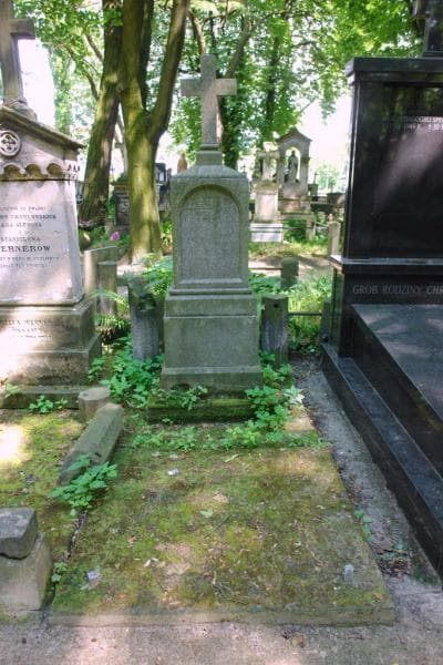 Zdjęcie grobu Antoni Brzezicki (1)