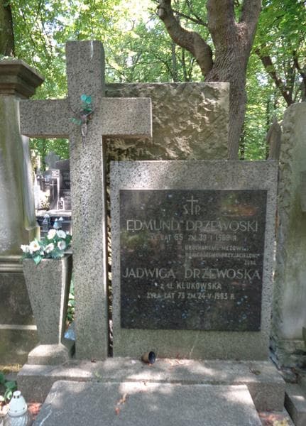 Zdjęcie grobu Edmund Drzewoski (2)