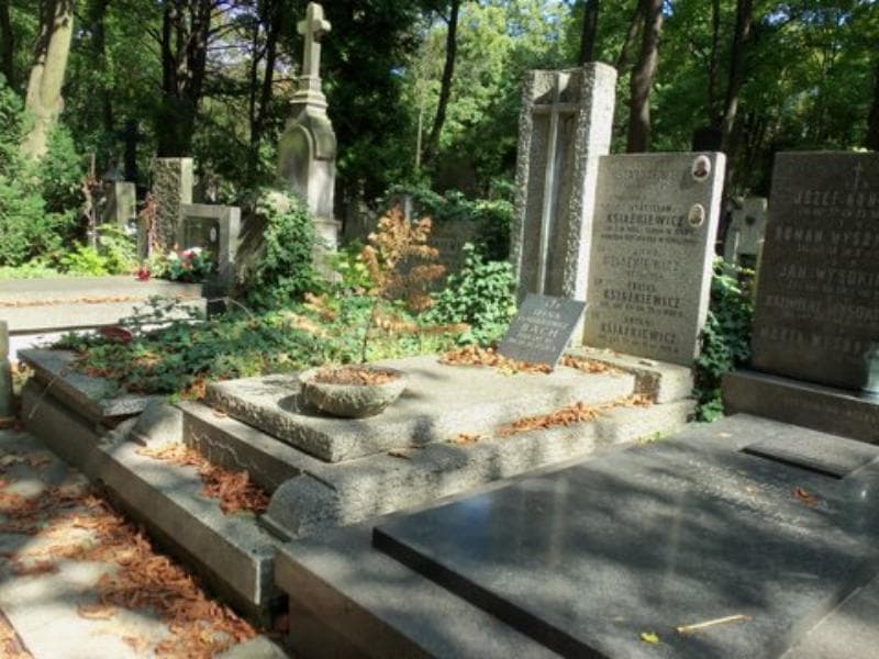 Zdjęcie grobu Władysław Książkiewicz (1)