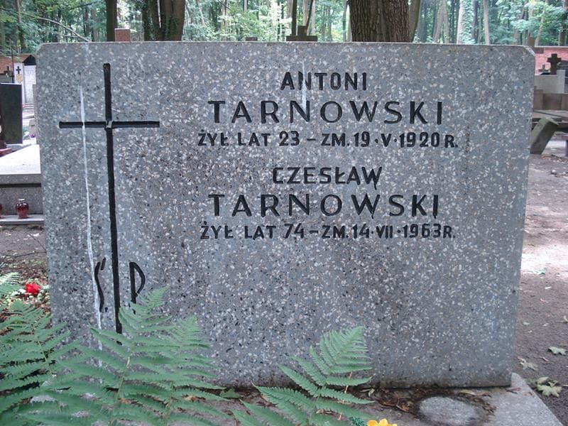 Zdjęcie grobu Czesław Tarnowski (1)