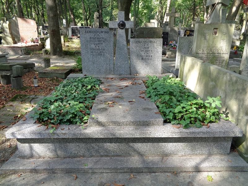 Zdjęcie grobu Jan Lewandowski (1)