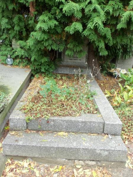 Zdjęcie grobu: Janina Blum