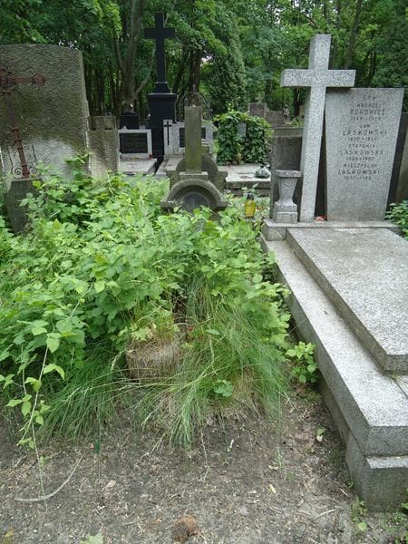 Zdjęcie grobu: Mieczysław Jarzęcki