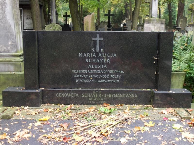 Zdjęcie grobu Genowefa Schayer-Jerzmanowska (2)