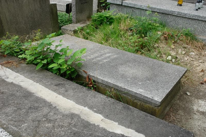 Zdjęcie grobu Wincenty Piekarczyk (2)